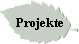 Projekte